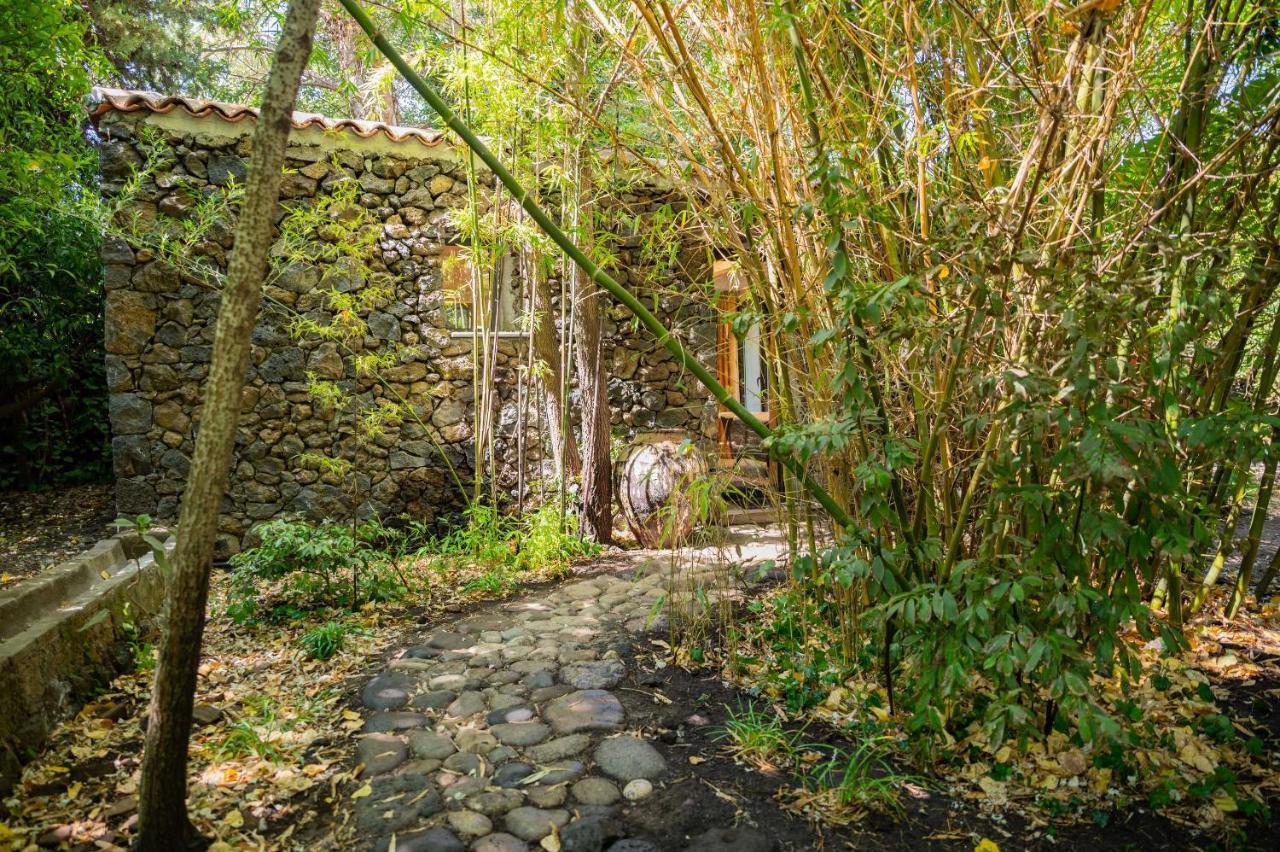 Ferienwohnung Etna Botanic Garden Mascalucia Exterior foto