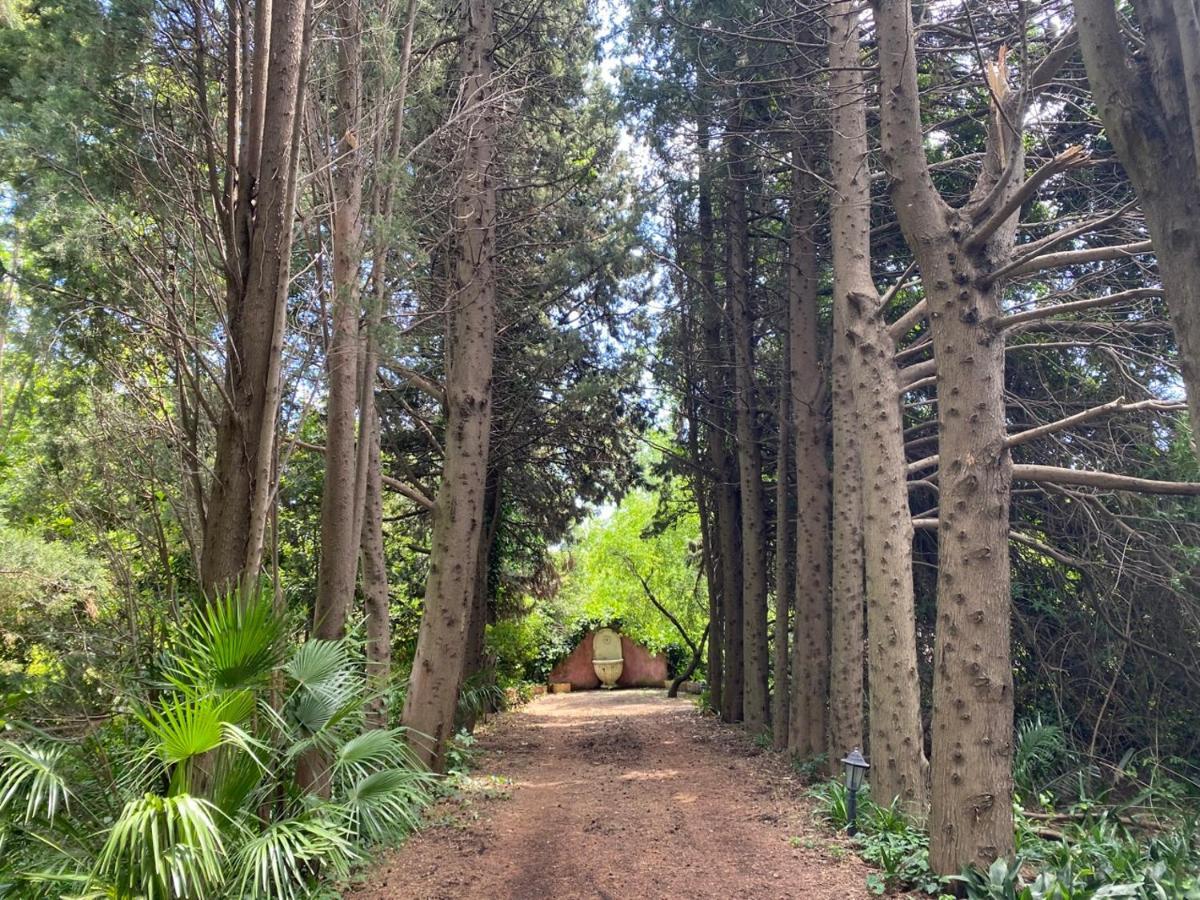Ferienwohnung Etna Botanic Garden Mascalucia Exterior foto