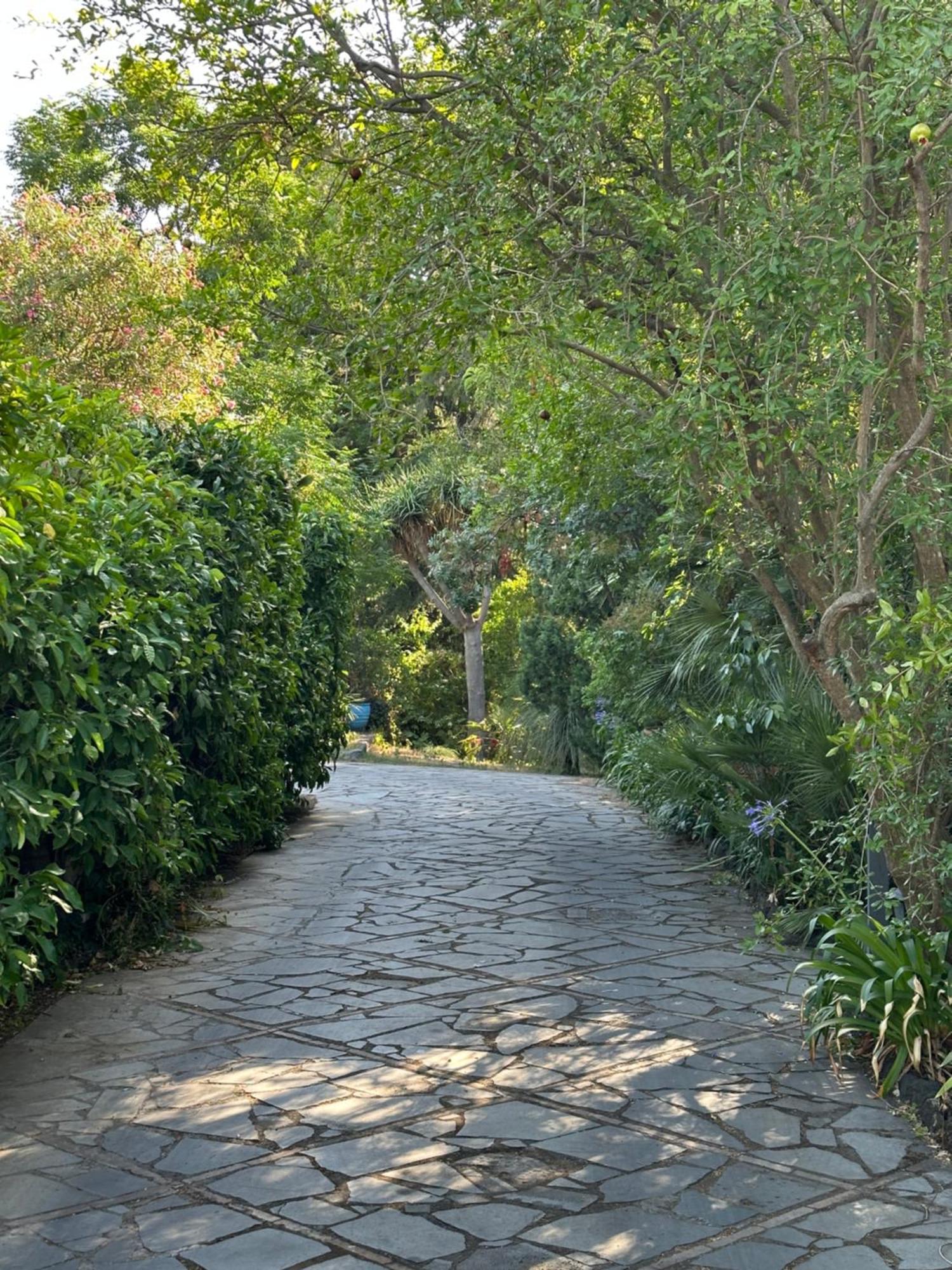 Ferienwohnung Etna Botanic Garden Mascalucia Exterior foto