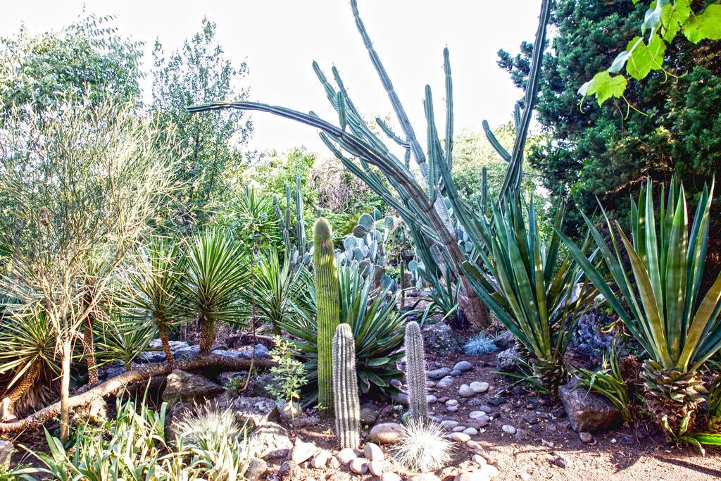Ferienwohnung Etna Botanic Garden Mascalucia Exterior foto