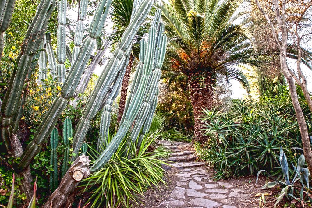 Ferienwohnung Etna Botanic Garden Mascalucia Exterior foto