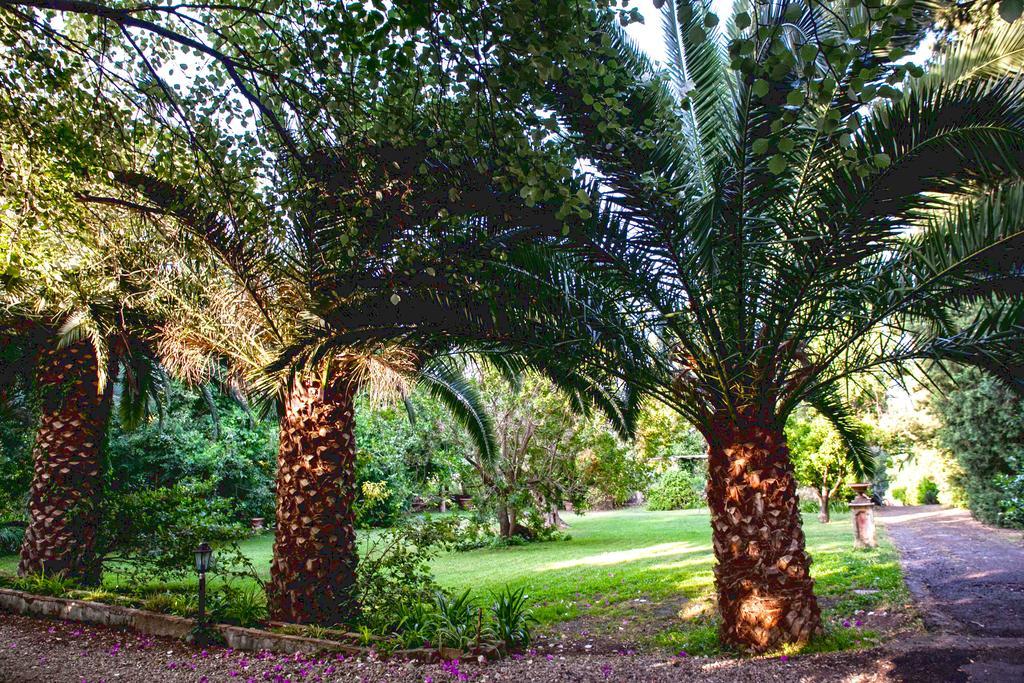 Ferienwohnung Etna Botanic Garden Mascalucia Exterior foto